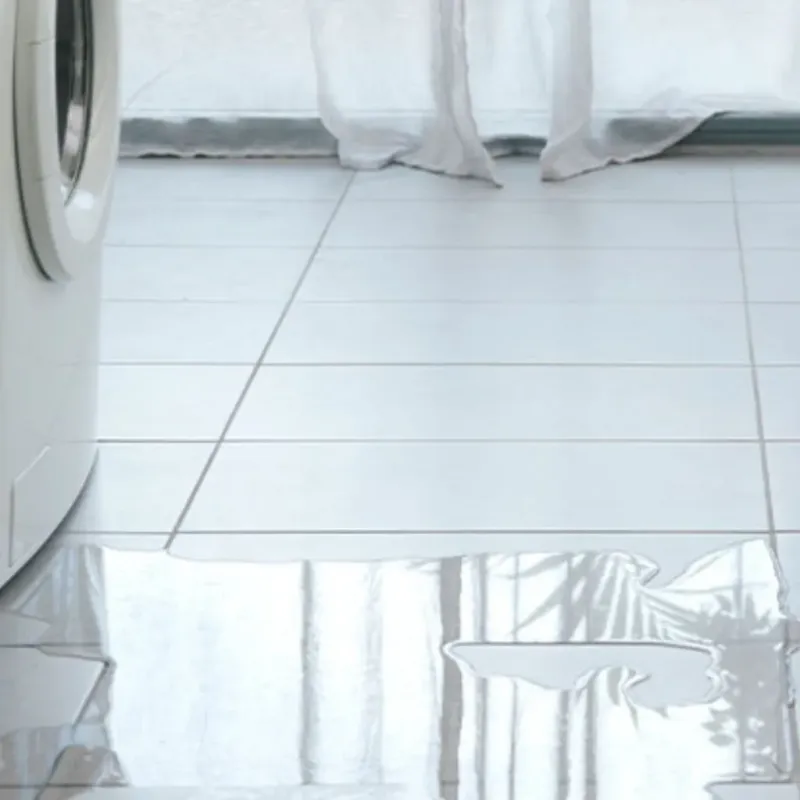 Appliance Leak Cleanup in Amelia, LA