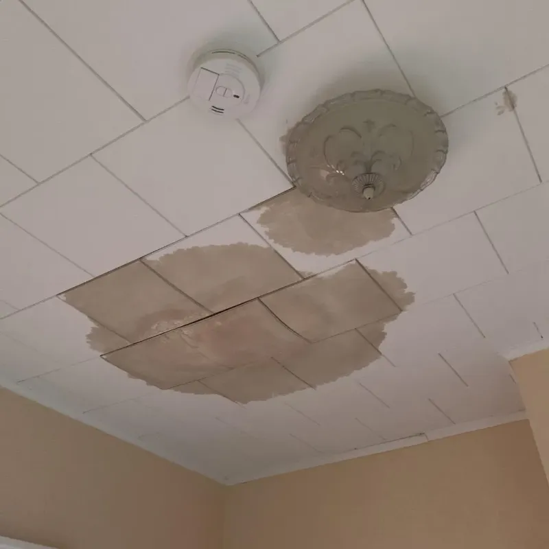 Ceiling Water Damage Repair in Amelia, LA
