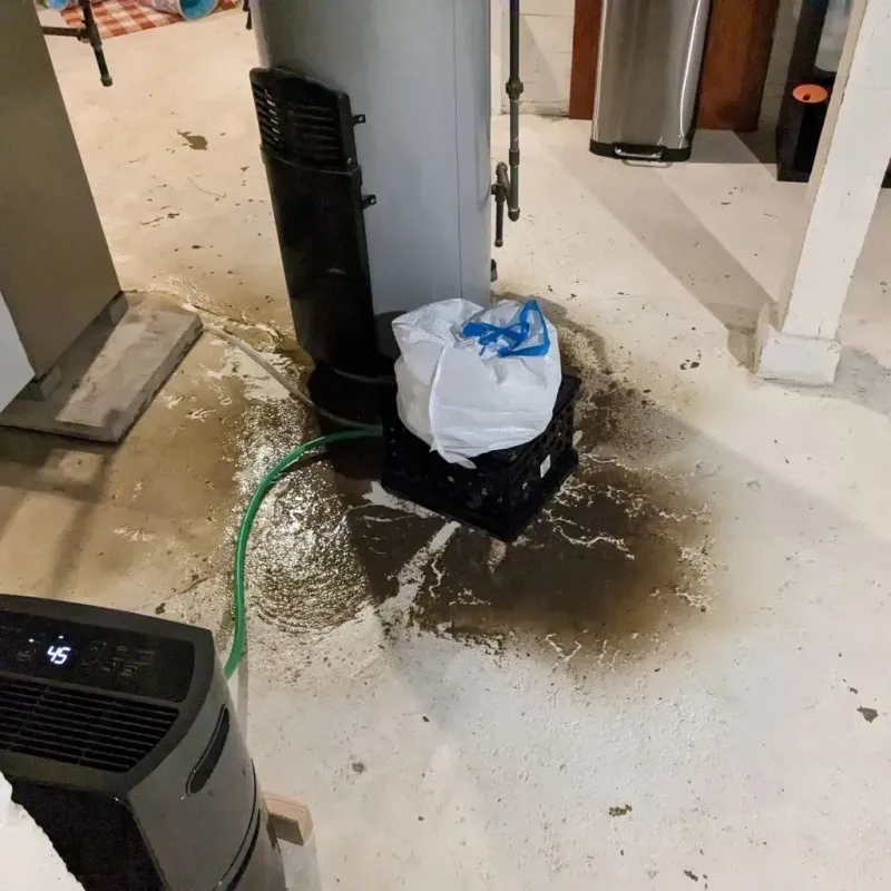 Sewage Backup Cleanup Service in Amelia, LA